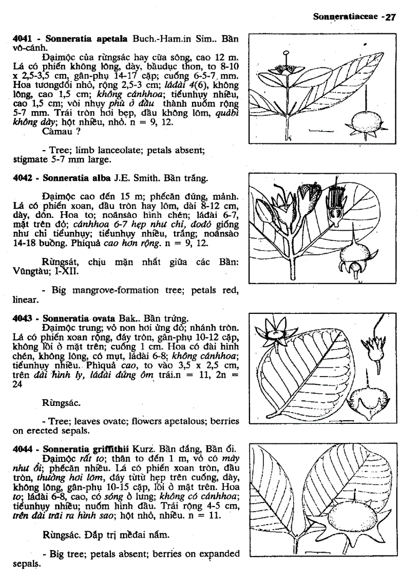 image for page Cây cỏ Việt Nam
