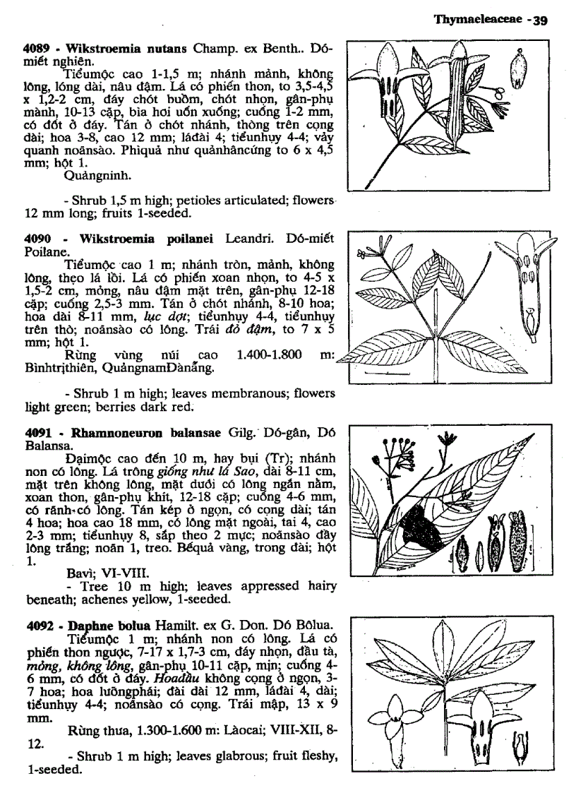 image for page Cây cỏ Việt Nam