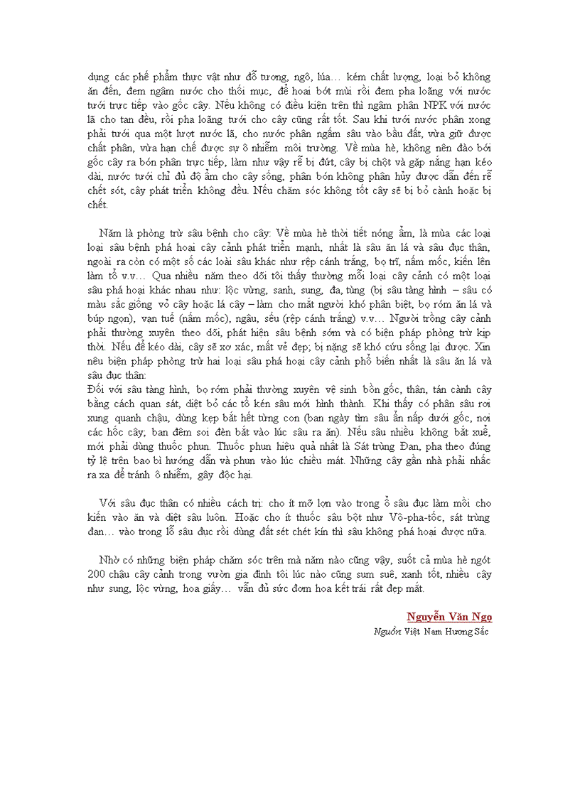 image for page Chăm sóc cây cảnh mùa h1