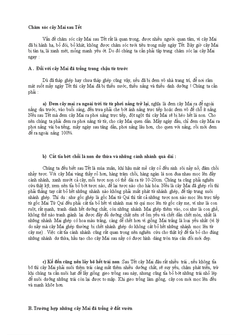 image for page Chăm sóc cây mai sau tết