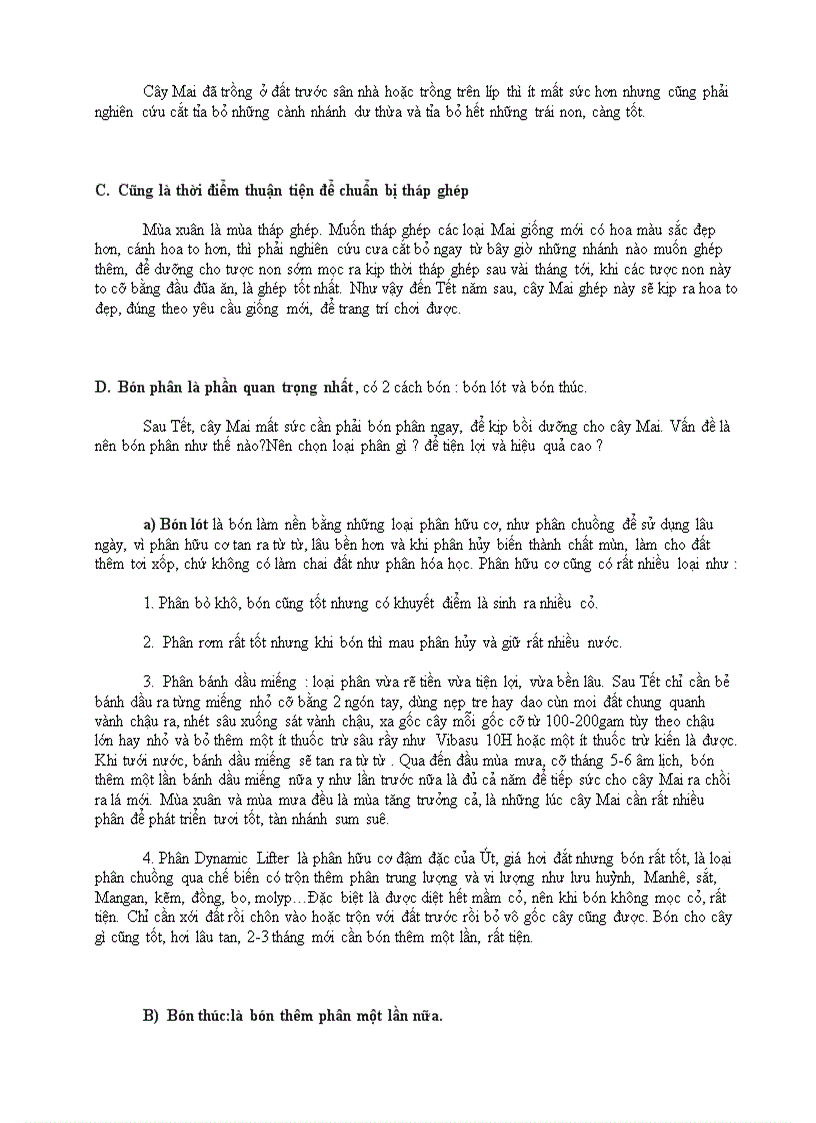 image for page Chăm sóc cây mai sau tết