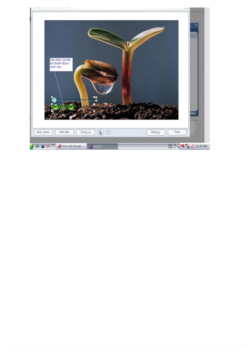 image for page Chèn File Vào ViOLET