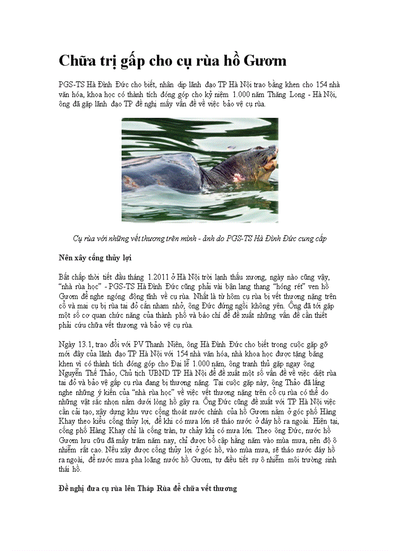 image for page Chua tri gap cho cu rua