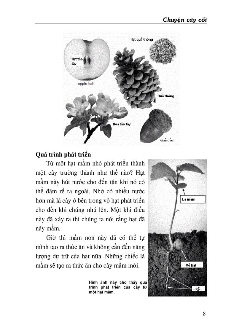 image for page Chuyện cây cối