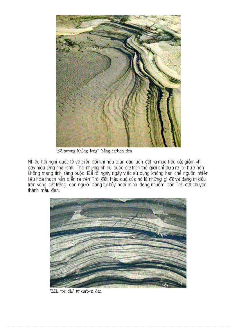 image for page Con người đang nhuộm đen dần Trái Đất