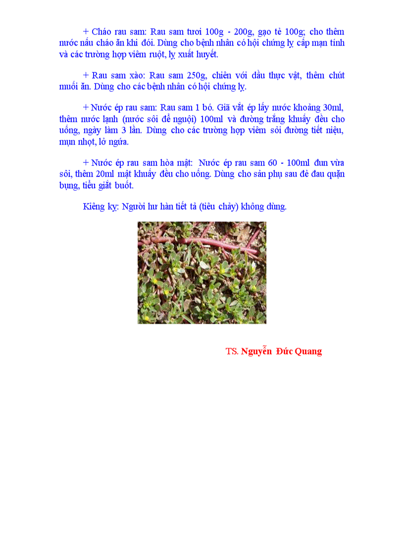 image for page Công dụng của rau sam