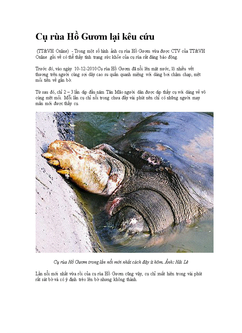 image for page Cu rua ho guom lai keu cuu