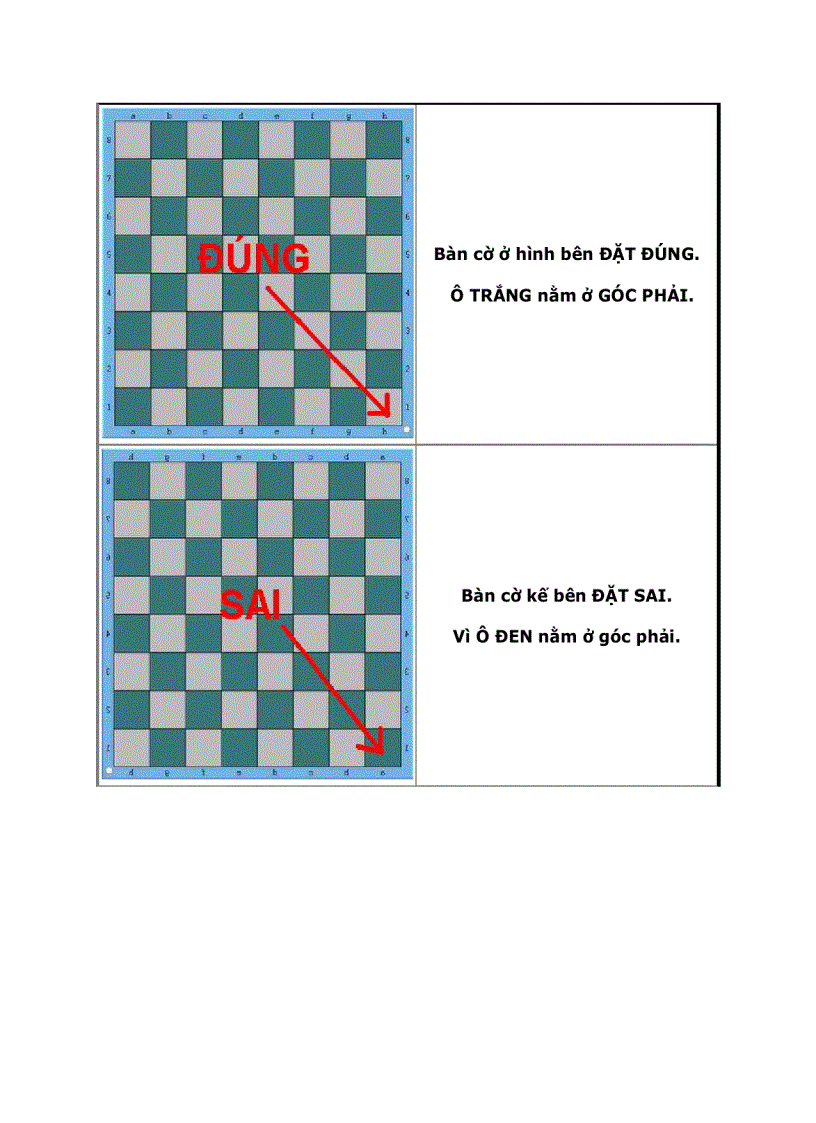 image for page Dạy con học cờ vua P1