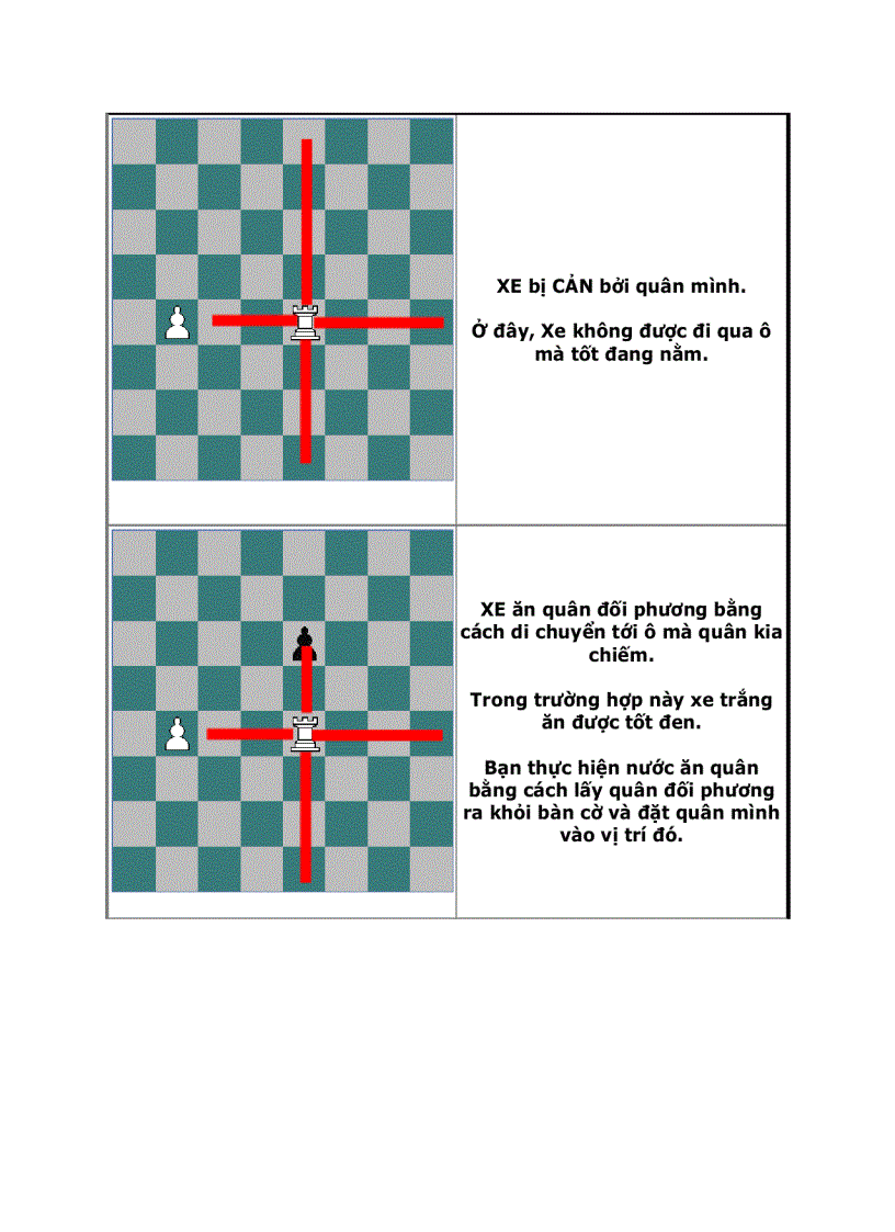 image for page Dạy con học cờ vua P1