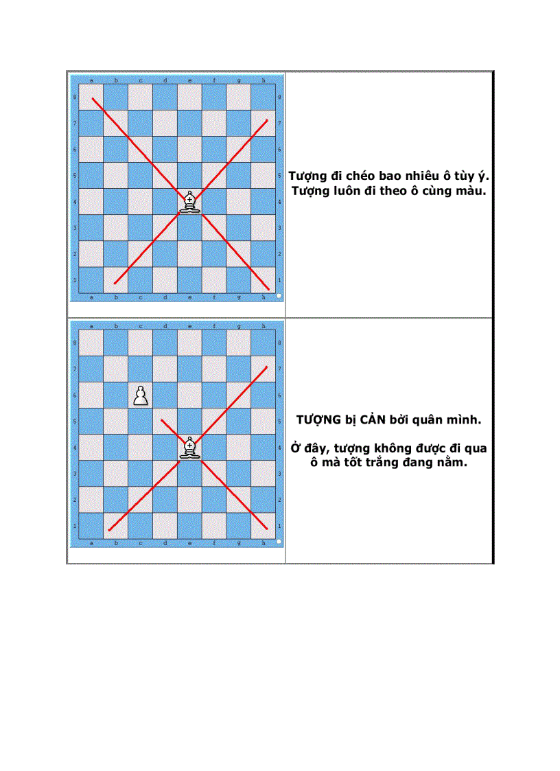 image for page Dạy con học cờ vua P1