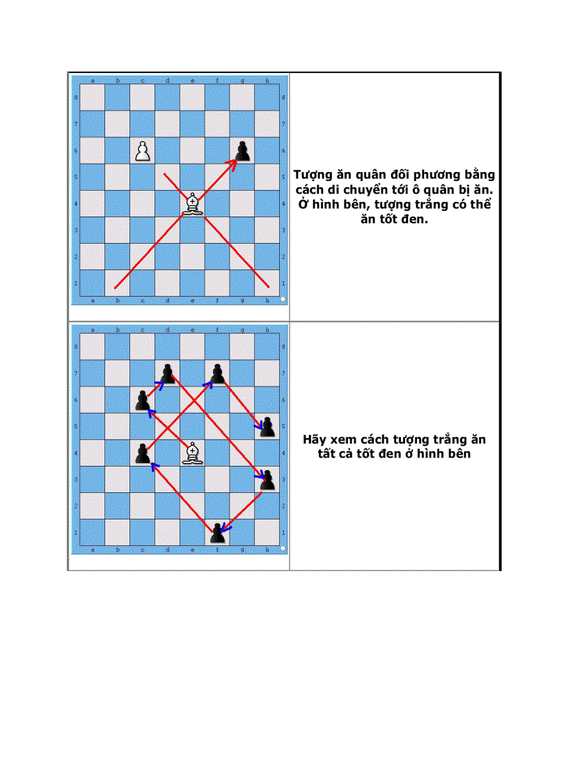 image for page Dạy con học cờ vua P1