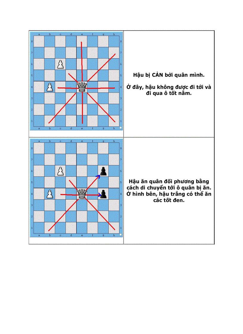 image for page Dạy con học cờ vua P1