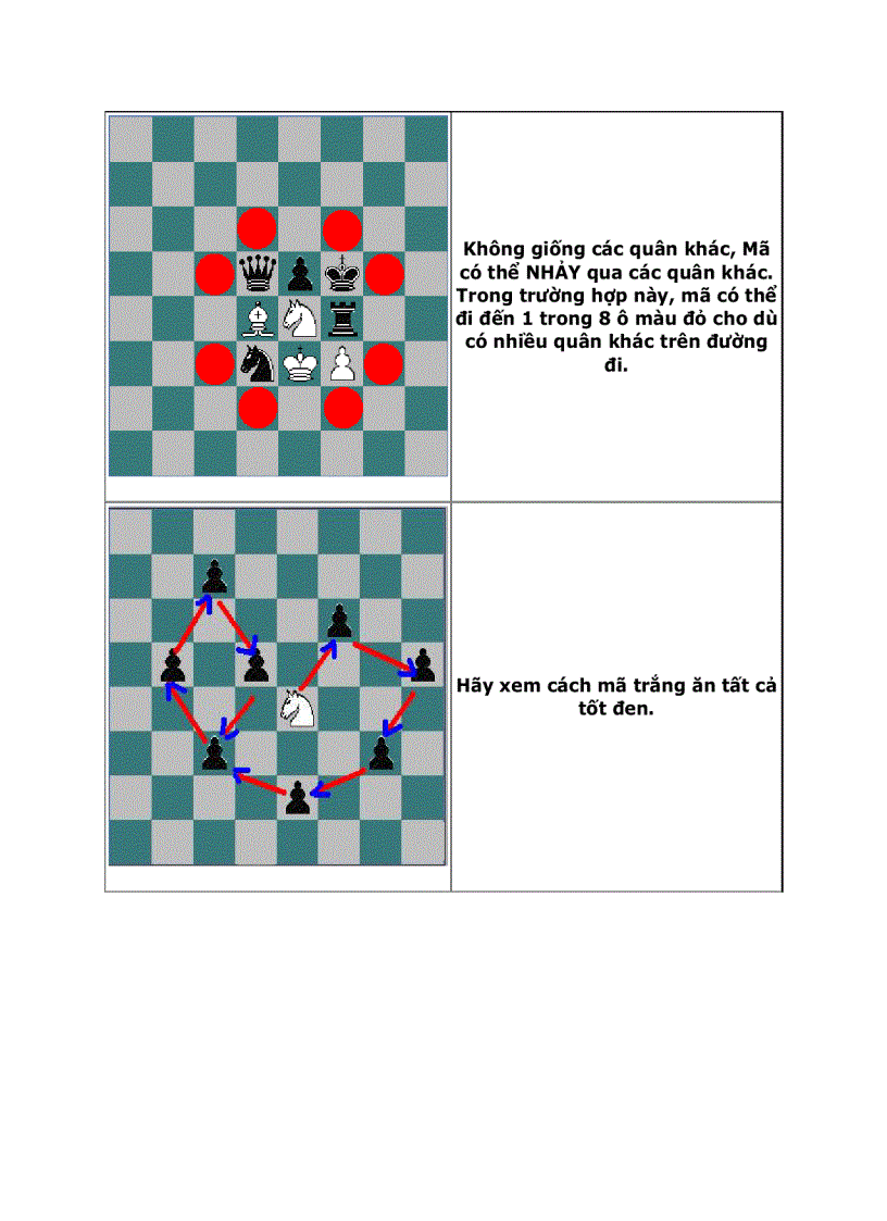 image for page Dạy con học cờ vua P1