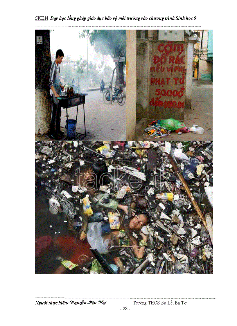 image for page Dạy học tích hợp lồng ghép GDBVMT vào Sinh học 9