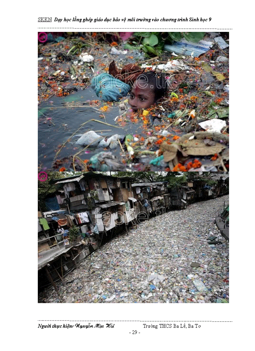 image for page Dạy học tích hợp lồng ghép GDBVMT vào Sinh học 9