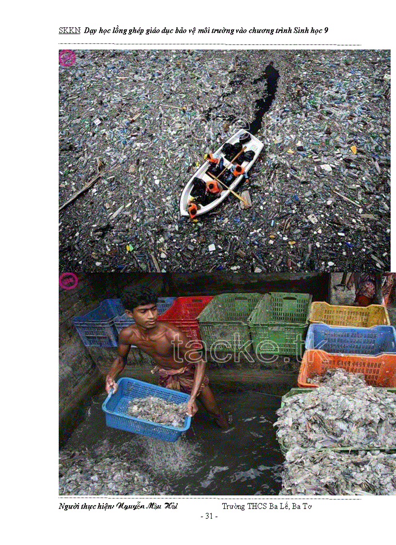 image for page Dạy học tích hợp lồng ghép GDBVMT vào Sinh học 9