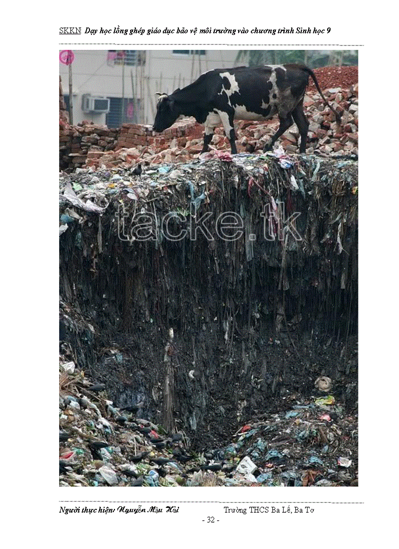 image for page Dạy học tích hợp lồng ghép GDBVMT vào Sinh học 9