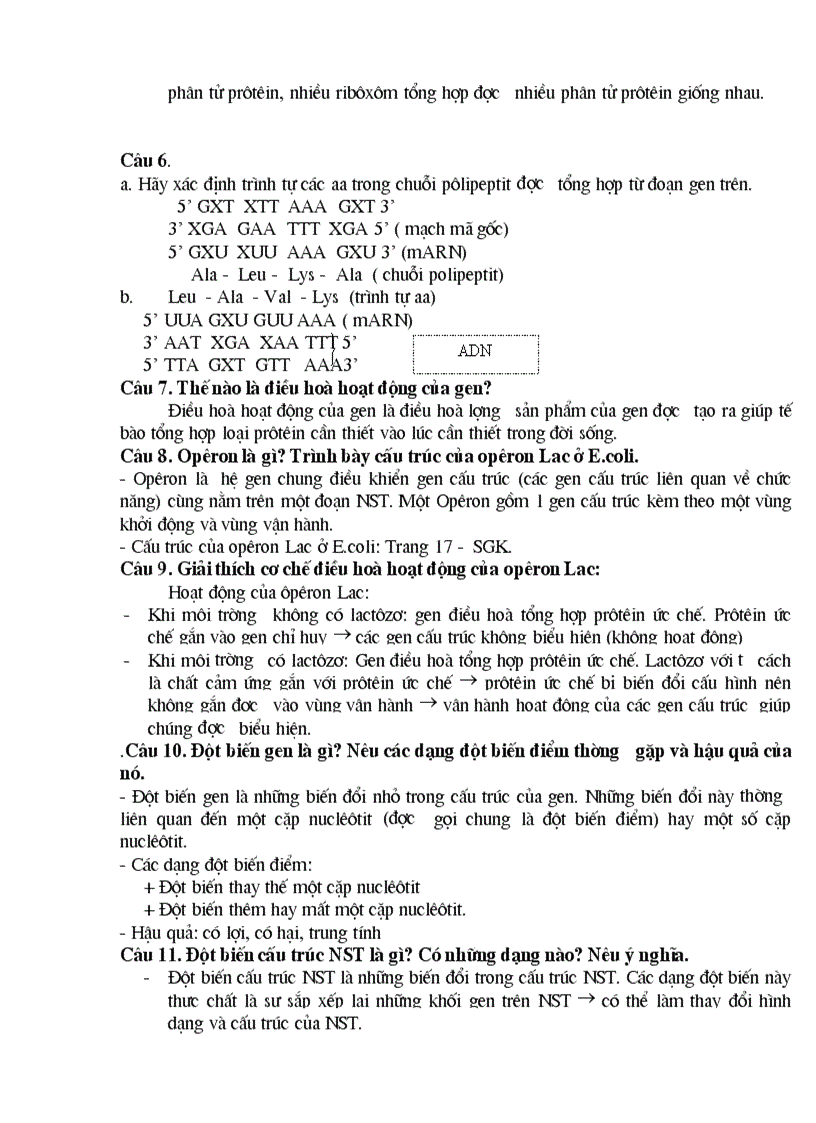 image for page Đề cương ôn thi TN THPT môn Sinh học