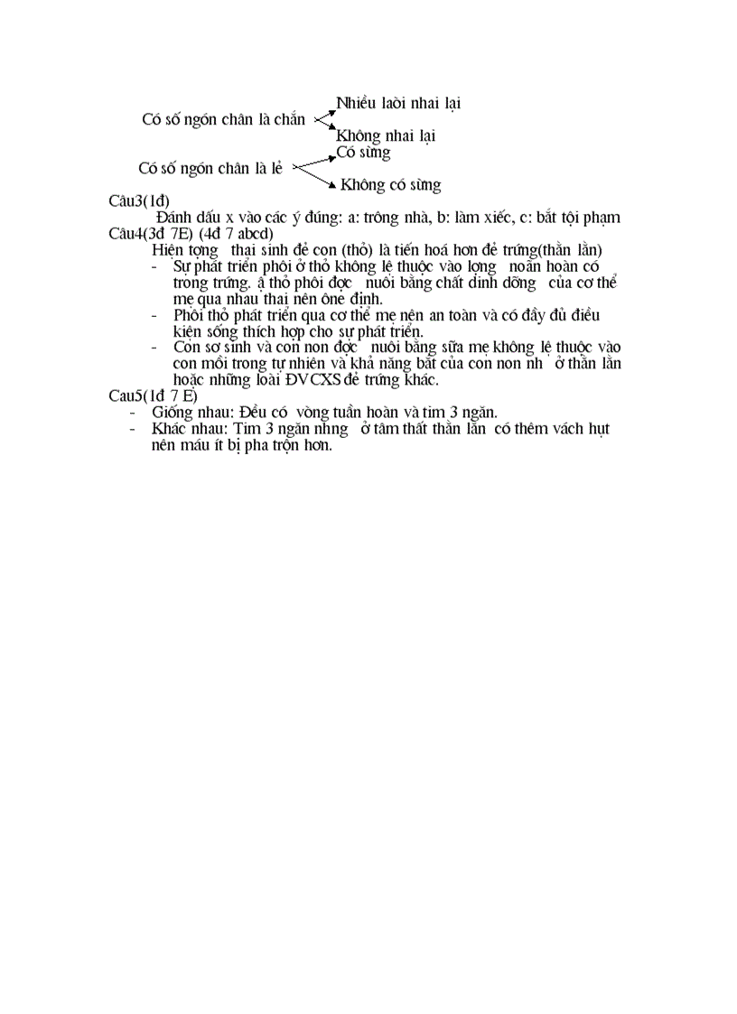 image for page Dề KTHK2 đáp án Thất Khê