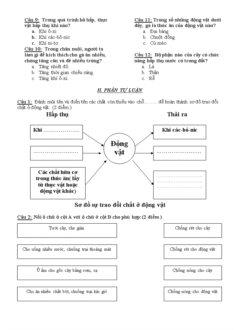 image for page Đề thi khoa học khối 4 HK II