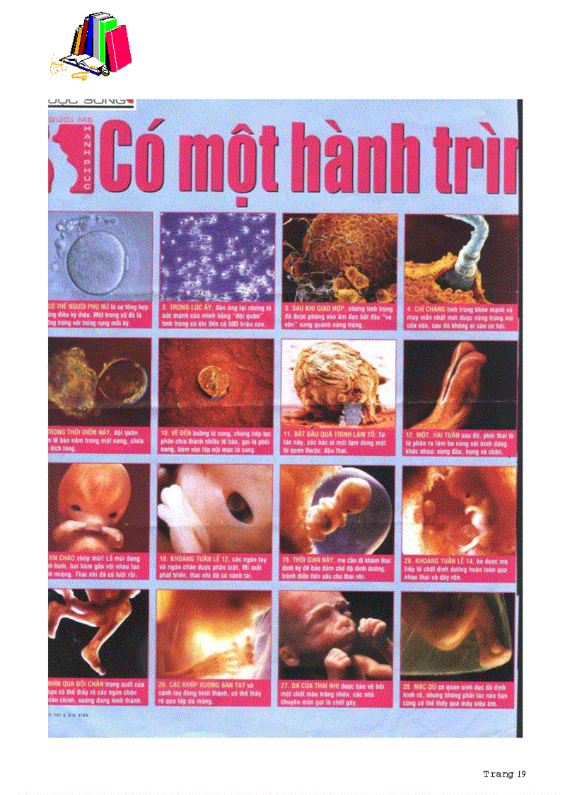image for page Đều cần biết khi sinh con
