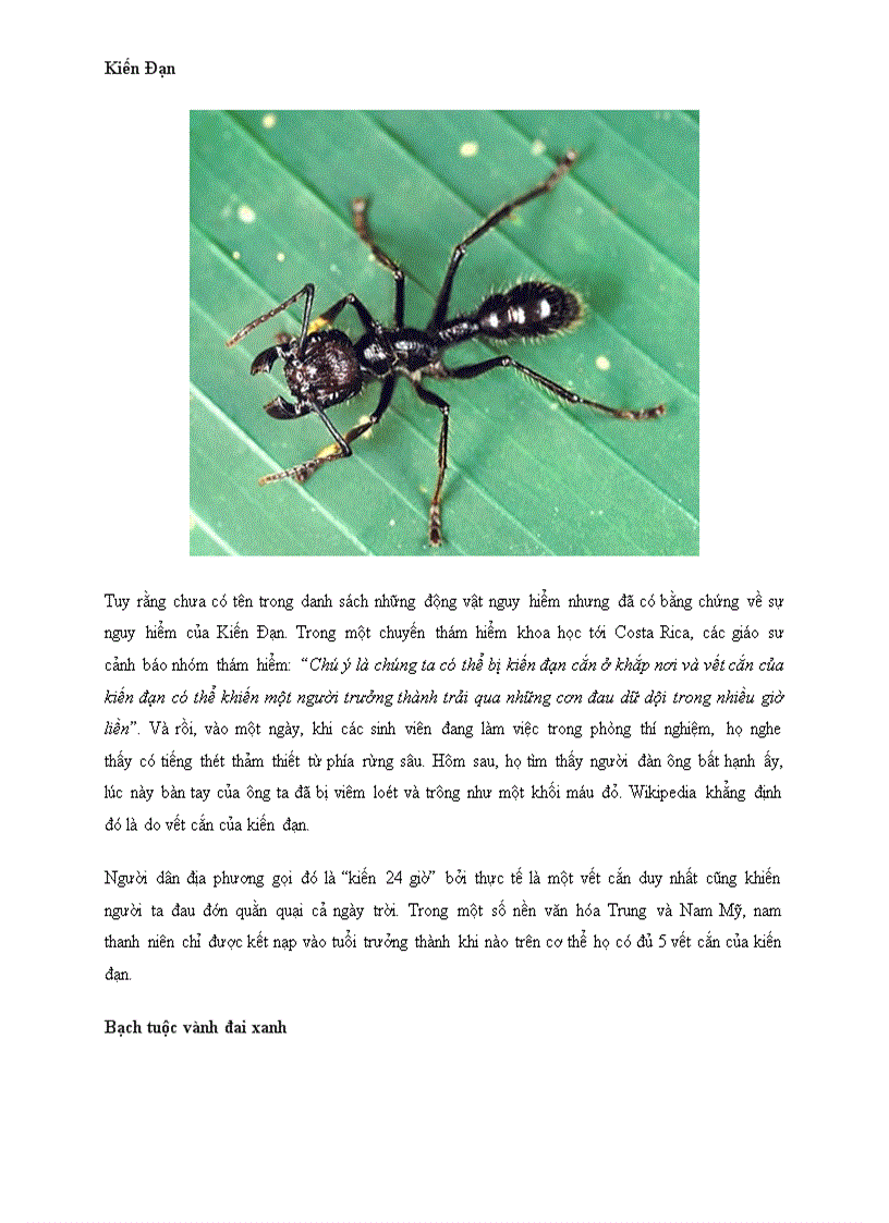 image for page Điểm mặt 6 sinh vật nhỏ bé nhưng cực nguy hiểm