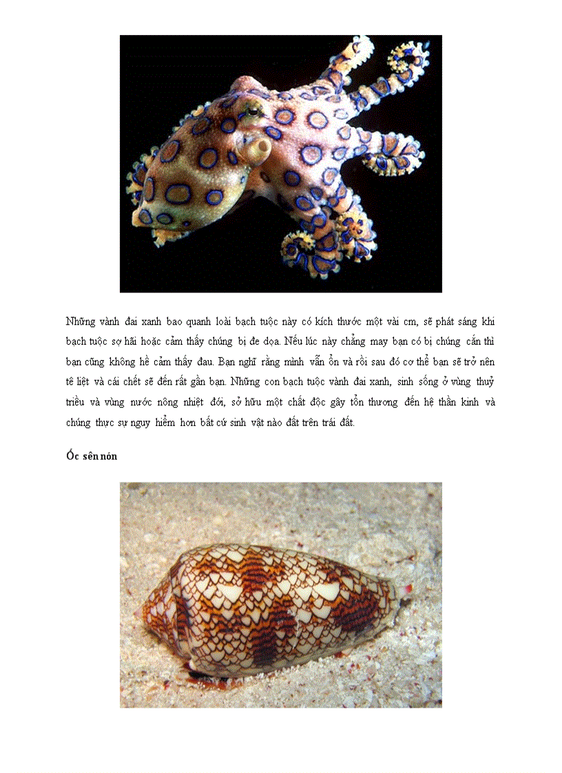 image for page Điểm mặt 6 sinh vật nhỏ bé nhưng cực nguy hiểm