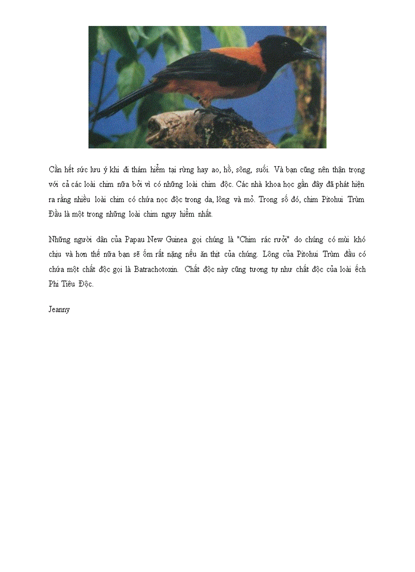 image for page Điểm mặt 6 sinh vật nhỏ bé nhưng cực nguy hiểm