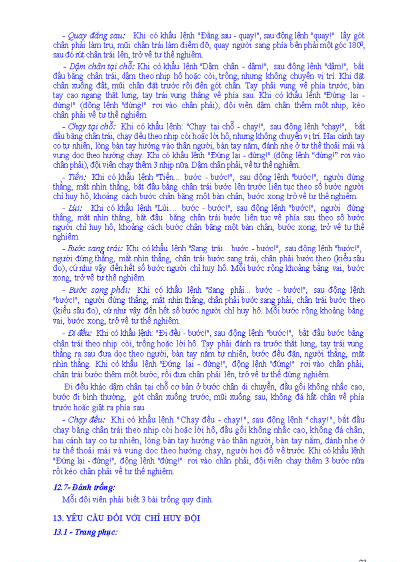 image for page Điều lệ đội mới sửa đổi