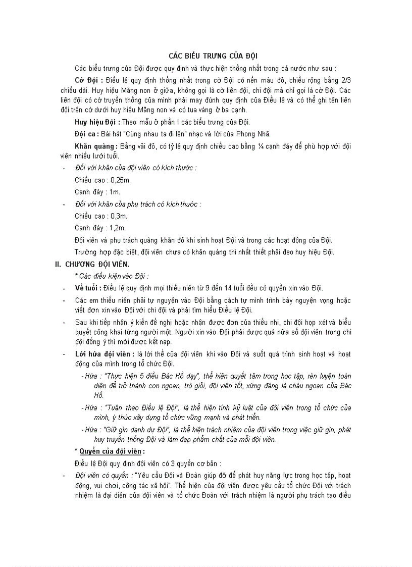 image for page Dieu le Doi TNTP HCM