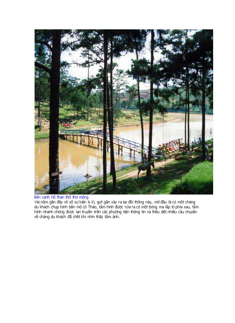 image for page Đồi thông hai mộ không còn là ẩn số bí mật