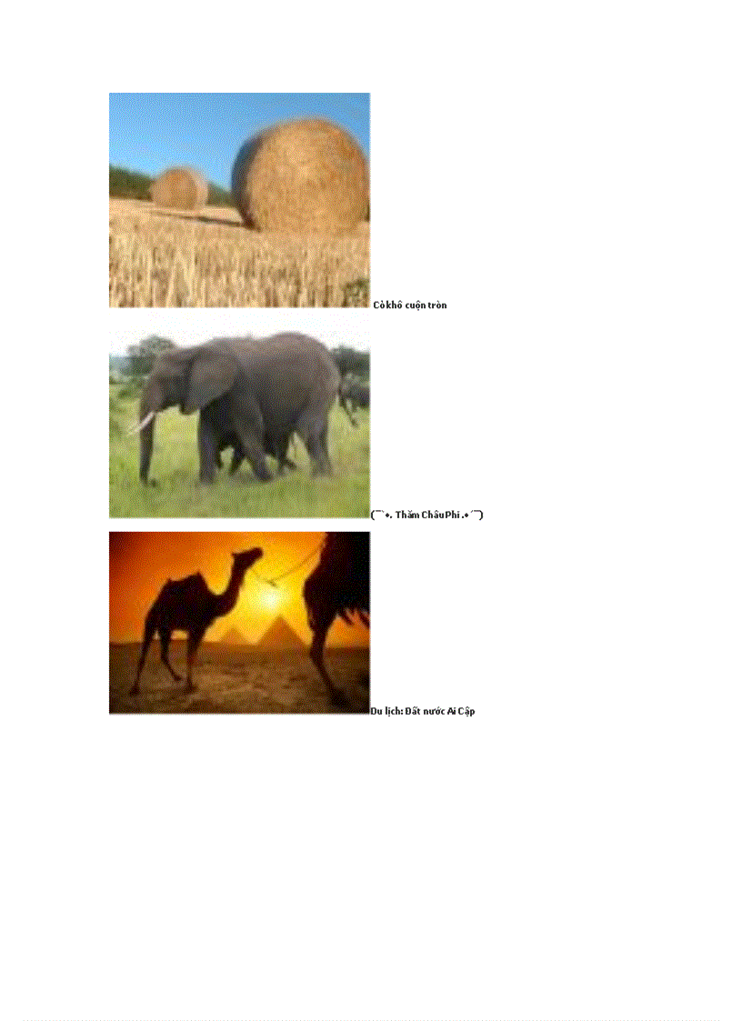 image for page Du lịch the gioi dep 2010