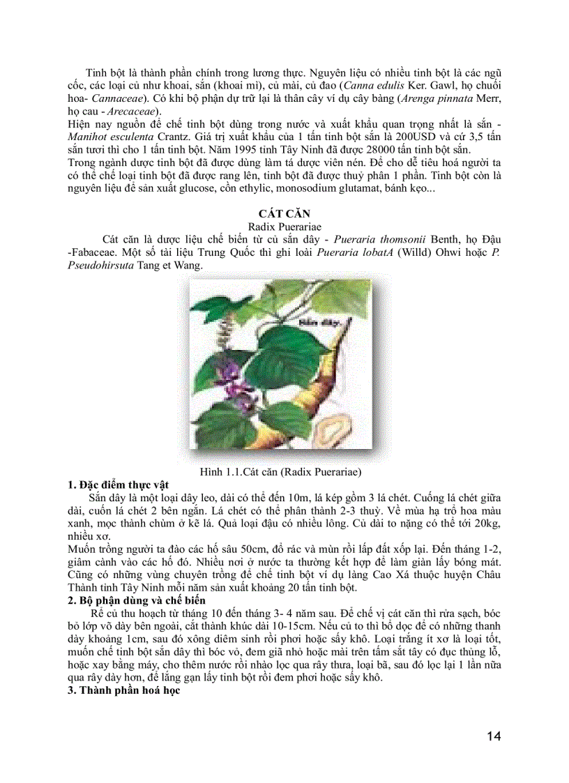 image for page Dược liệu thú y