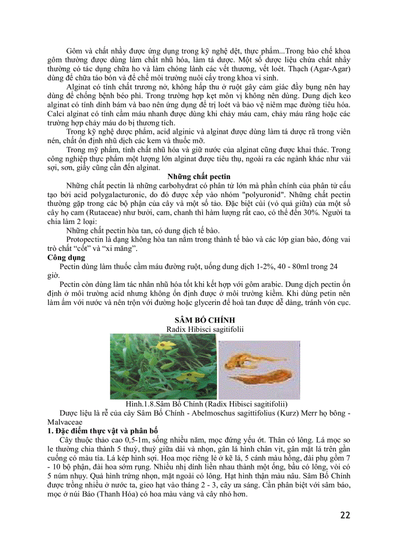 image for page Dược liệu thú y