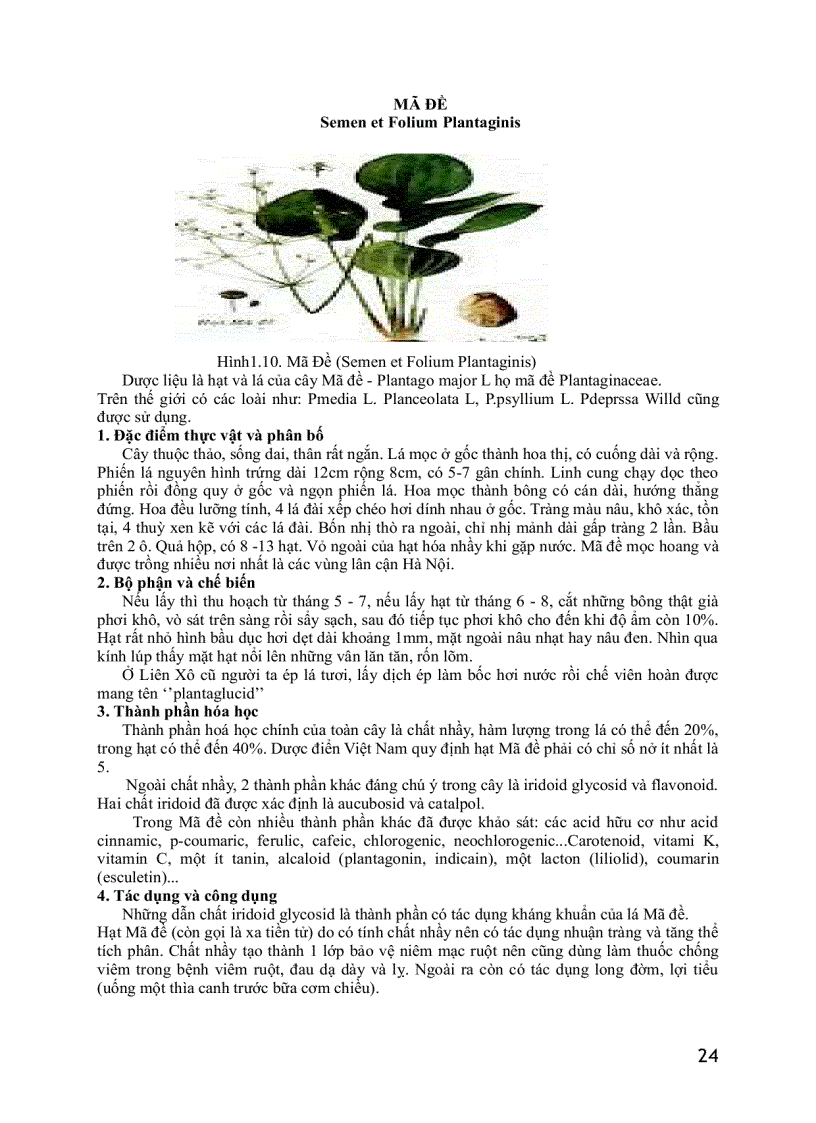 image for page Dược liệu thú y