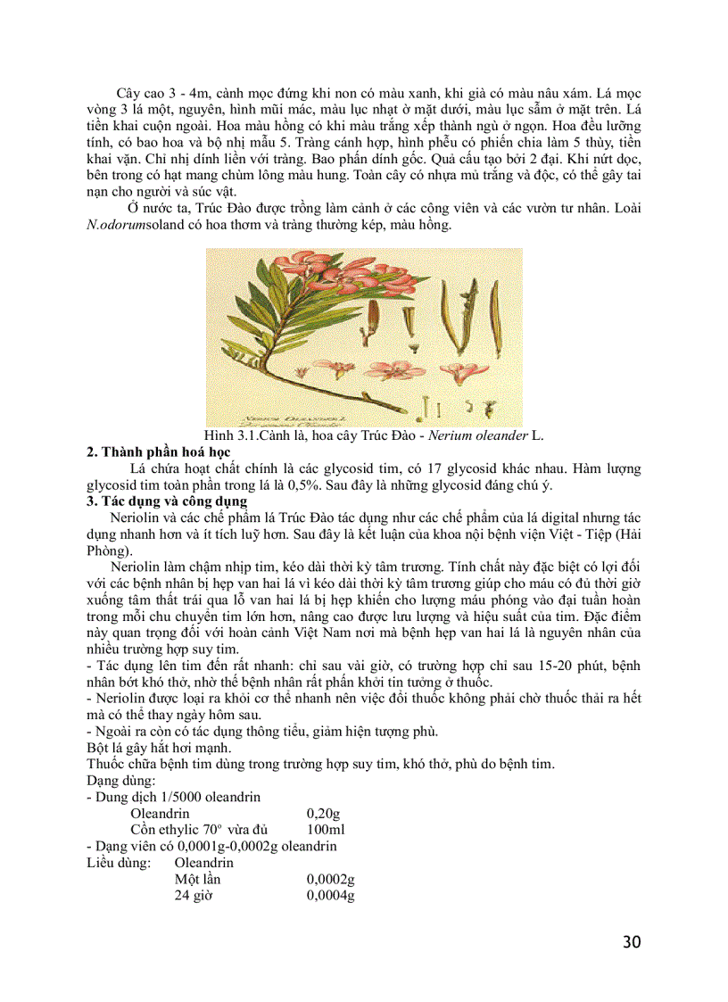 image for page Dược liệu thú y