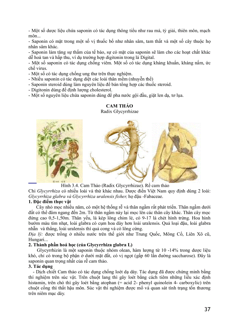 image for page Dược liệu thú y