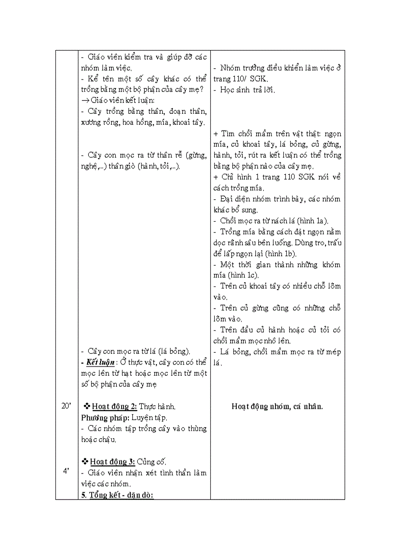 image for page GA các môn L5 Tuần 27