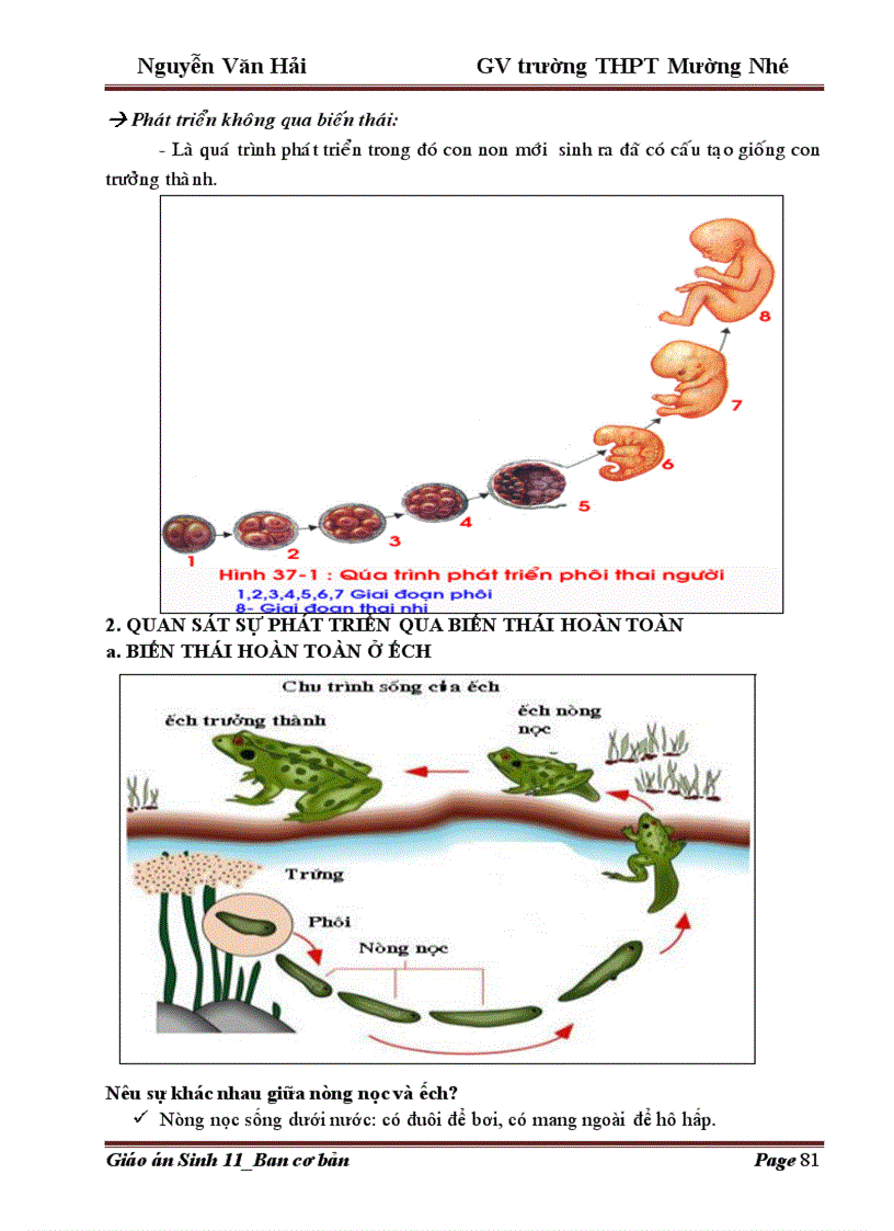 image for page Giao an 11 Trường THPT Mường Nhé Điện Biên