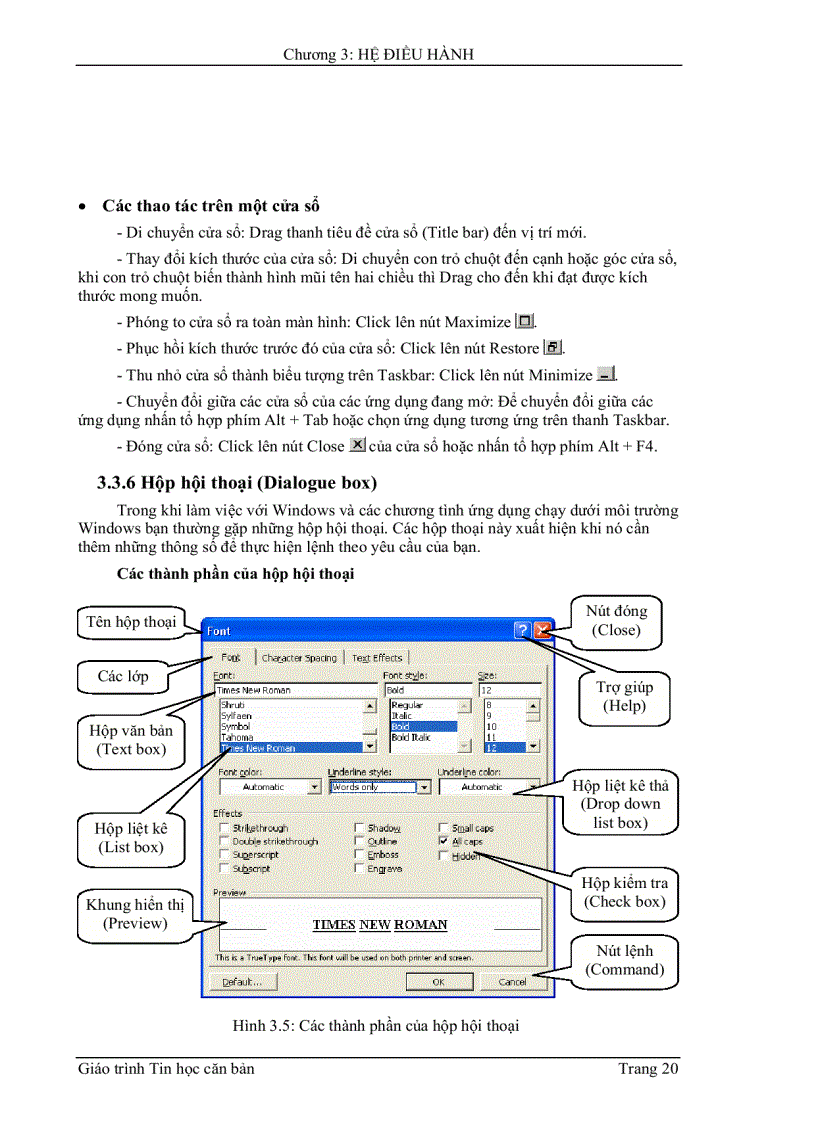 image for page Giáo trình tin học căn bản