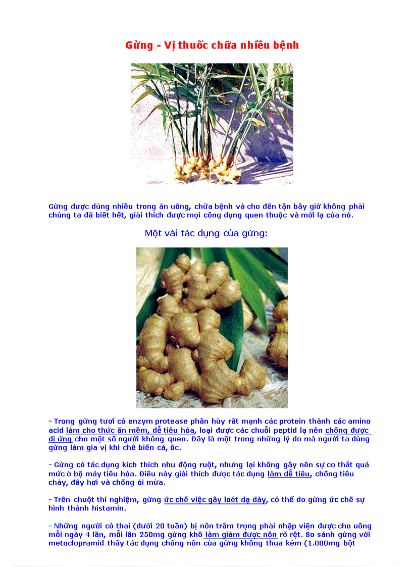 image for page Gung vi thuoc chua nhieu benh cho con nguoi