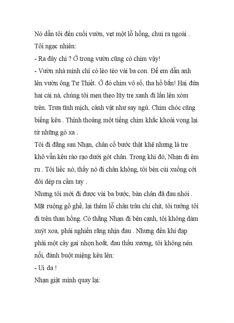 image for page Hạ Đỏ Nguyễn nhật Ánh