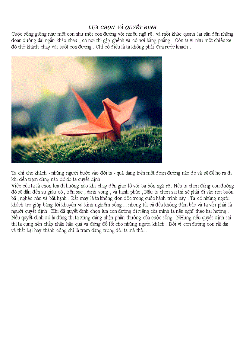 image for page Hạt giống tâm hồn