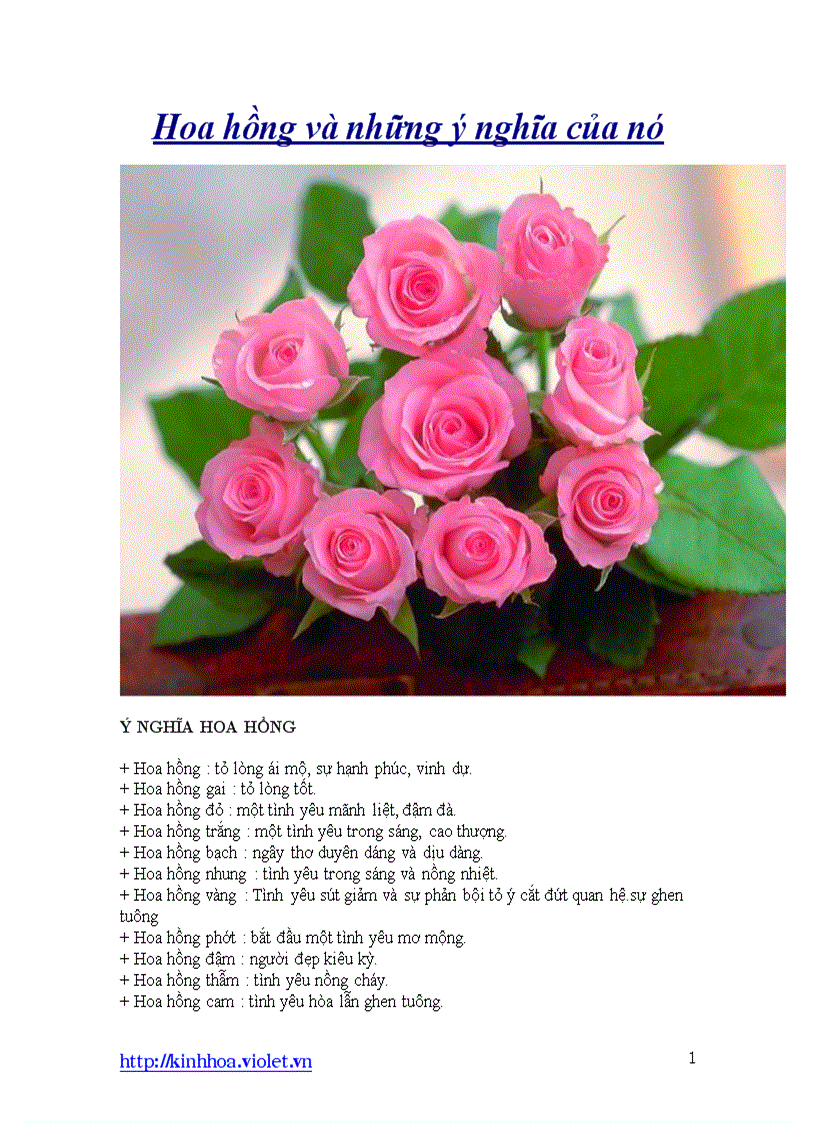 Hoa hồng và những ý nghĩa của nó