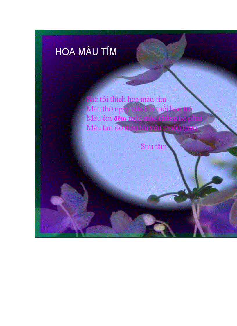 image for page Hoa màu tím