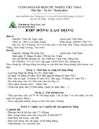 Hop dong lao dong mẫu