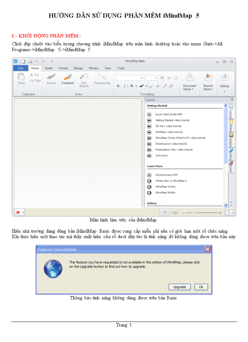 HƯỚNG DẪN SỬ DỤNG PHẦN MỀM iMindMap 5