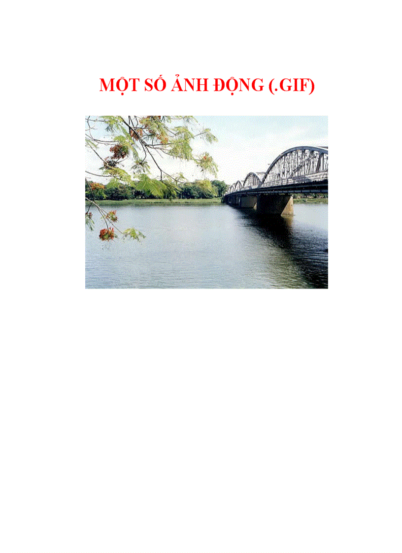 image for page Kho Ảnh Dộng