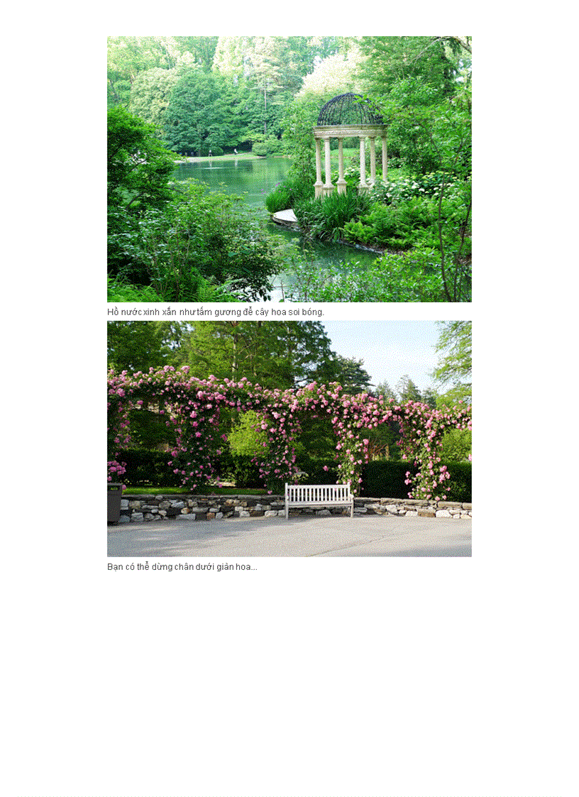 image for page Khu vườn đẹp nhất nước Mỹ