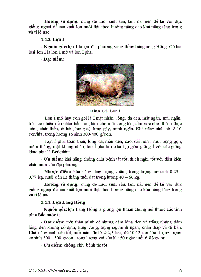 Kỷ thuật chăn nuôi lợn đực giống